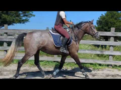 売約済*3才牝ハイスピリッツ 2025/09/15