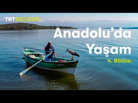 Anadolu'da Yaşam | Göl | TRT Belgesel