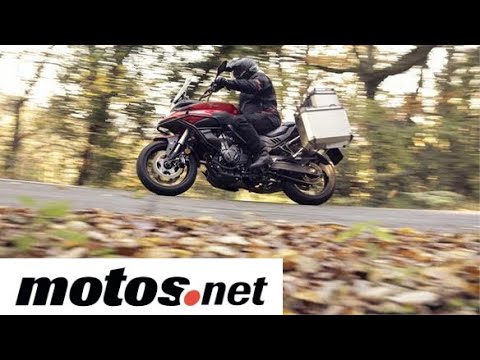 Voge 500 DS | Prueba / Test / Review en español 4K | motos.net