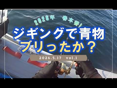 2026春本番ジギングで青物 ブリったか?