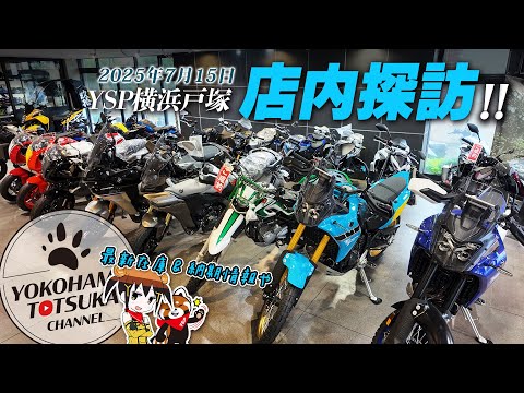 【店内探訪|2025年7月15日】最新在庫状況や納期情報!出張ツーリングの積載プランやシューティングブレークの状況など!byYSP横浜戸塚
