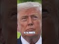 Fighter jet INTERCEPTS aircraft over Camp David during Trump visit #shorts #us #news #foxnews
