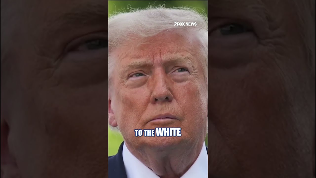 Fighter jet INTERCEPTS aircraft over Camp David during Trump visit #shorts #us #news #foxnews