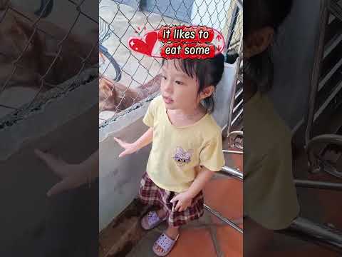 Nói chuyện với chó nhà hàng xóm. #annahocngoaingu #learnenglish #tienganh