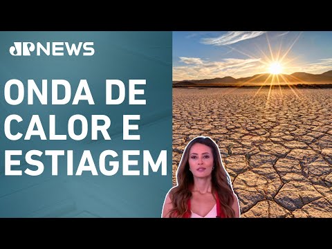 Região Norte tem recorde de consumo de energia elétrica; Patrícia Costa analisa