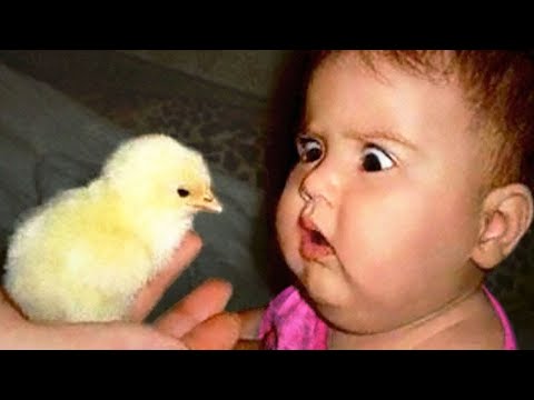 Cute Babies meeting with Farm animals -  Funny Babies and Animal videos 2020