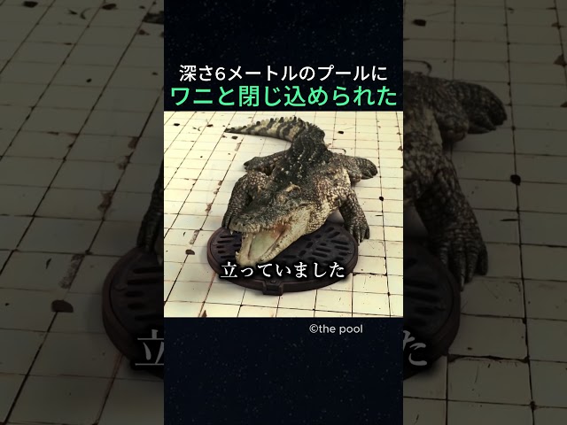 深さ6メートルのプールにワニと閉じ込められた