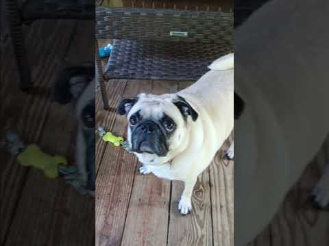 Sophie Wants a Rematch!
