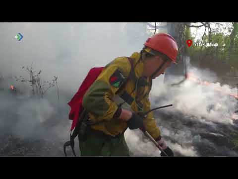 Власти Усть-Цильмы призвали местное население помочь пожарным в тушении лесов