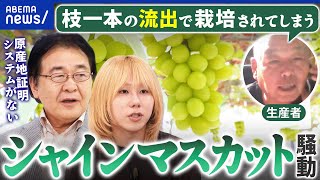 動画サムネイル