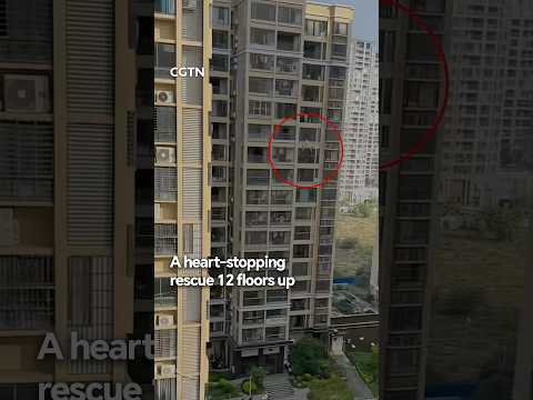 A heart-stopping rescue 12 floors up