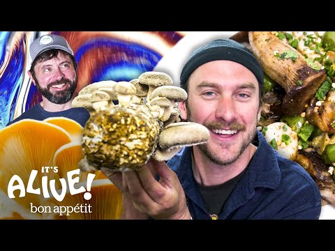 Brad Makes Smoked Mushrooms | It's Alive | Bon Appétit