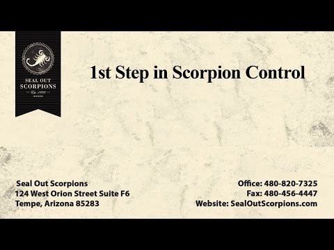 1st Step In Scorpion Control | Seal Out Scorpions
