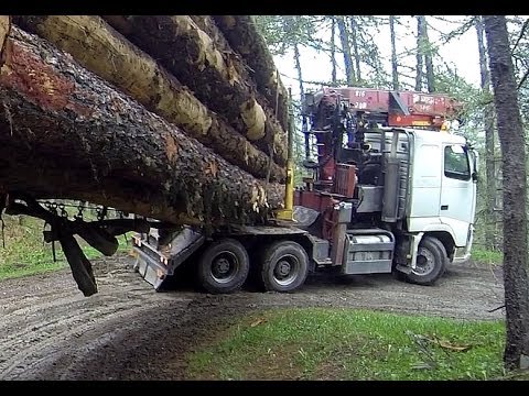 Камионџија на годината фаќа остра кривина преполнет со долги дрва