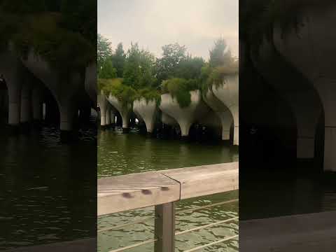 New York City #manhattan #nyc #shortvideoviral