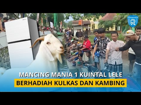 Semarak, Mancing Mania 1 Kuintal Lele di Sungai Irigasi di Desa Kayugeritan