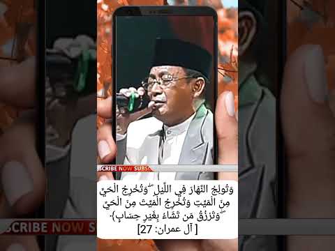 qori internasional legendaris kh Muammar za #tilawat #qori #international #khmuammarza #trending