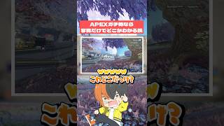 APEXガチ勢なら写真だけでどこか簡単にわかる説 #おしゅ #apex #vtuber