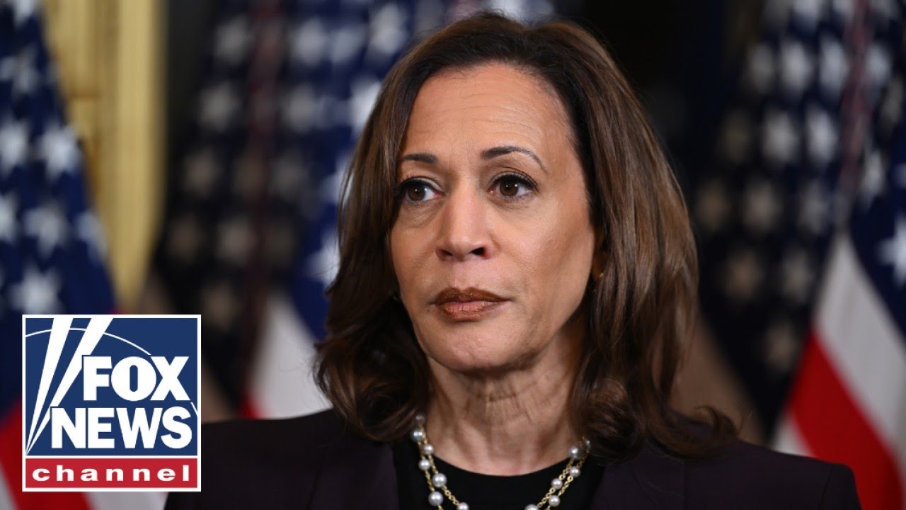 Reporter CALLS OUT Kamala Harris face-to-face: 'WORLD CLASS PIVOT'