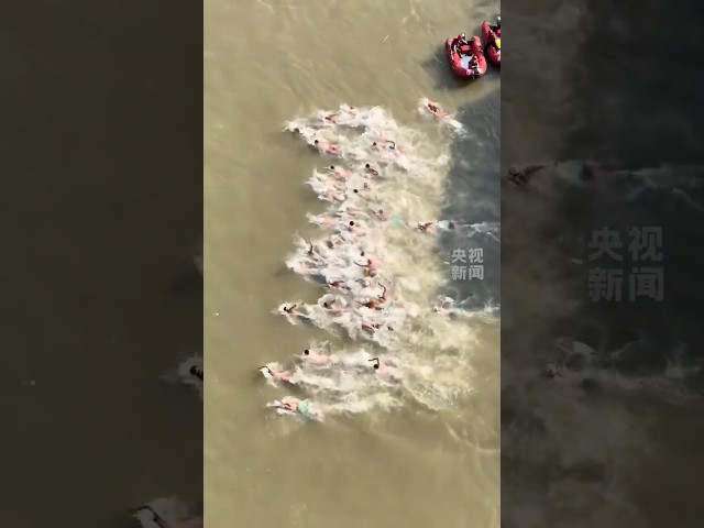 壮观！第50届武汉渡江节开赛，数十名运动员跃入水中，搏浪长江。张子扬刷新渡江纪录夺冠👍🏻 | CCTV