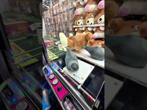 Nothing compares to the pain of walking away from the claw machine!