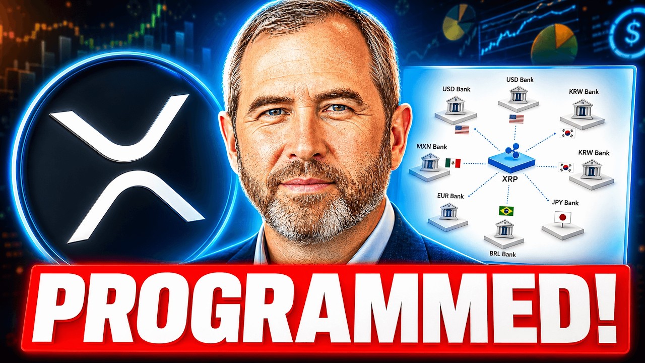 XRP OMG! IT'S REALLY HAPPENING! TRILLIONS PROGRAMMED!