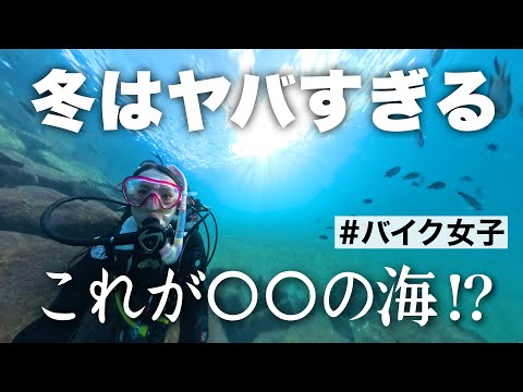 バイク女子、寒い冬の海に潜ります【モトブログ】