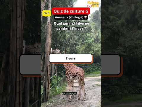 Top quiz de culture générale sur les animaux #quiz #saviezvousque #science #education #français