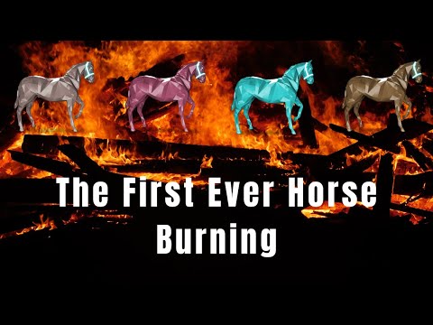 Zed Run Announces First Horse Burn I WATCH UNTIL THE END!!!!