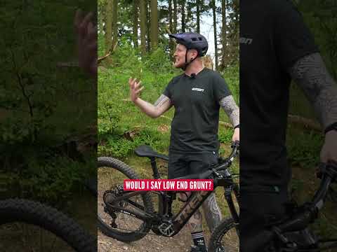 Do Light Motors Make You Work Harder For The Same Assistance?