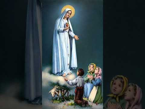 Ave Maria Con Dâng Lời Chào Mẹ #caunguyen #chuagiesu #maria #caunguyenmoingay #shortvideo #short