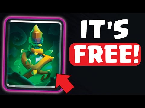 These are the BEST Decks for the NEW Vines Spell!