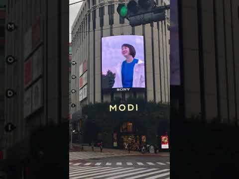 SETA MODI vision (2018.1.29~「♪赤い花 白い花」1番)