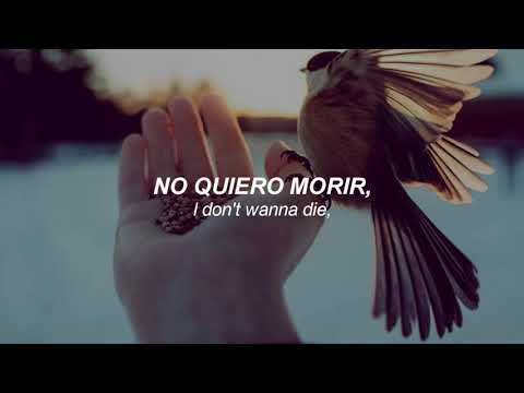 Sia - Bird Set Free (Español + Lyric)