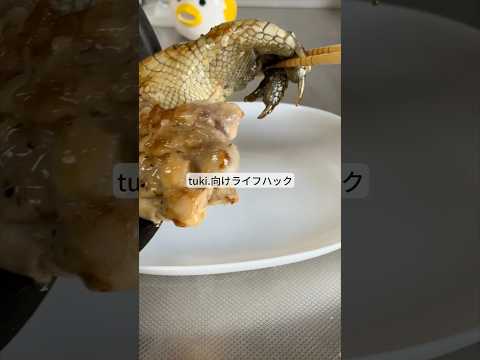 tuki.向けライフハック！