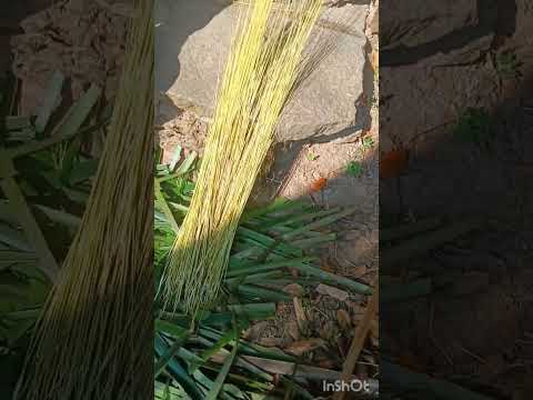 Leisurely One day|Broomstick Making |subscribe@Village_lifestyle415 |#naturelovers #naturebeauty