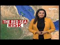 Missile, Drone Attacks By Houthi Rebels In Red Sea Disrupt Global Trade  - 01:55 min - News - Video