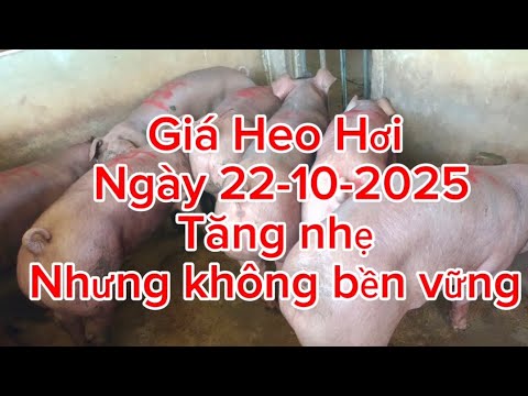 Tăng nhẹ nhưng không bền vững