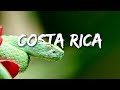 COSTA RICA IN 4K 60fps HDR (ULTRA HD).2160p60 HDR