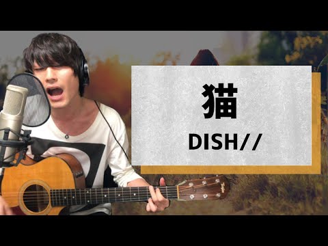 猫 / DISH//【弾き語りカバー1発録り】