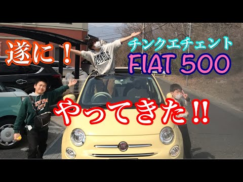 世界で１台？FIAT500Cドルチェビィータキャンパストップ　バニライエロー！