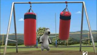 Medve Bernard - Rugby