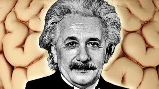 Einstein Brain Secret Revealed? -- Mind Blow #72