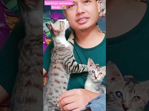 “Andai Waktu Bisa Diputar Kembali…”#sedih #haru #waktutakbisaulang