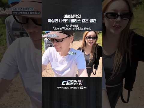 [#SDF] 비현실적인 이상한 나라의 앨리스 같은 공간