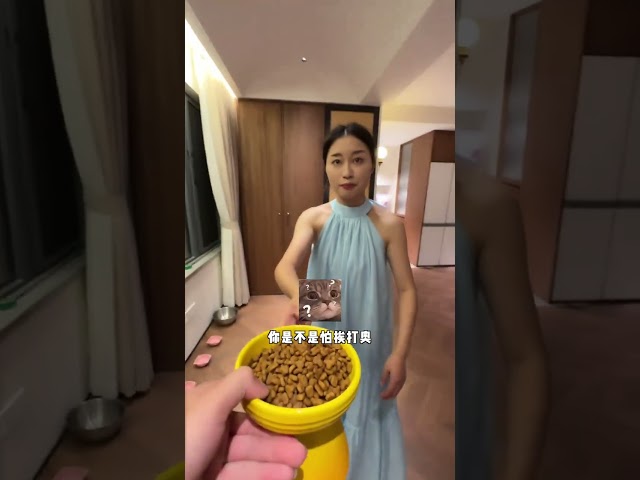 主人出差猫咪在家都快饿死了#动物#萌宠#宠物#animals#cute#funny