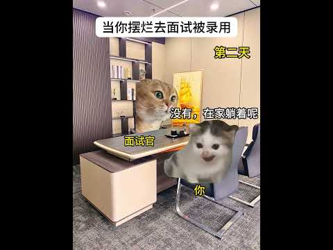 面接を避けても採用？猫の面白エピソードとミーム集 サムネイル