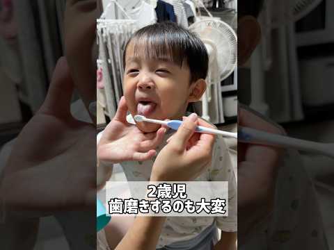 【2歳児】歯磨きしたいけど思い通りにさせてくれないんだが