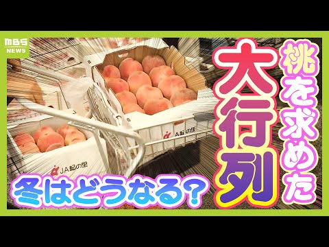 【今年の注目ニュース その後】夏に「あら川の桃」を求めた大行列…冬は○○の行列が！？和歌山・めっけもん広場の今を取材してみた【暮らしのケーザイ塾】（2024年12月18日）