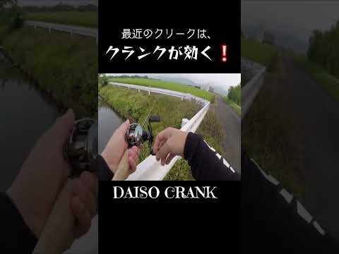 クランクは季節関係無し❕#short #bassfishing #佐賀クリーク #バス釣り #おかっぱり #ダイソー #右巻き大好き